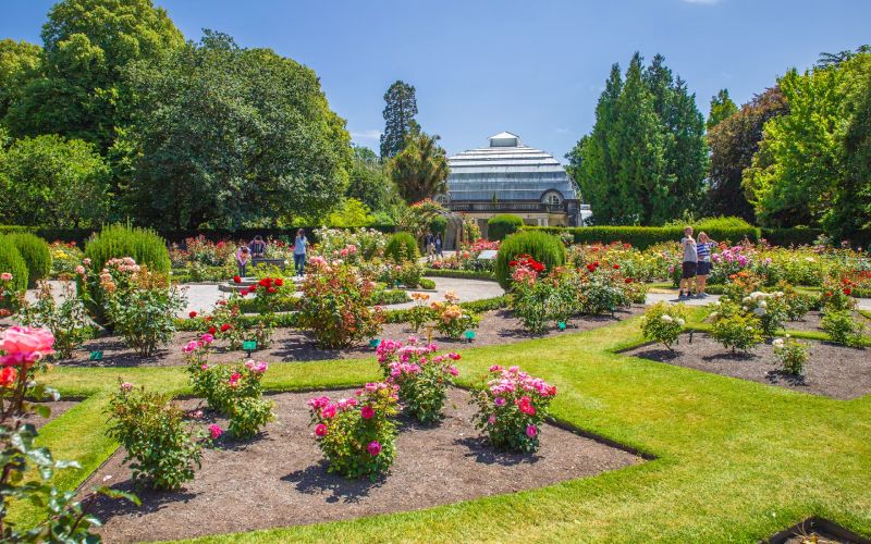 Christchurch Botanic Gardens